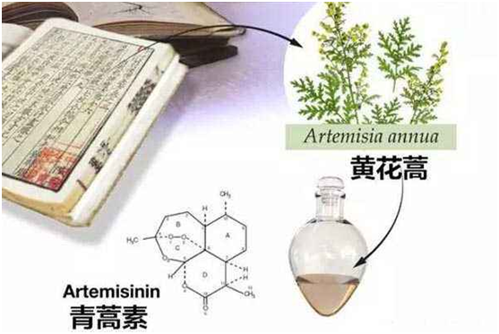 华体会平台,华体会（中国）：向中医药看齐，与世界共享中医药文化(图1)